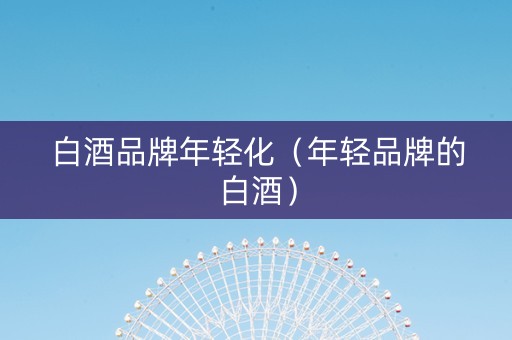 白酒品牌年轻化（年轻品牌的白酒）