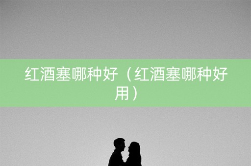 红酒塞哪种好（红酒塞哪种好用）