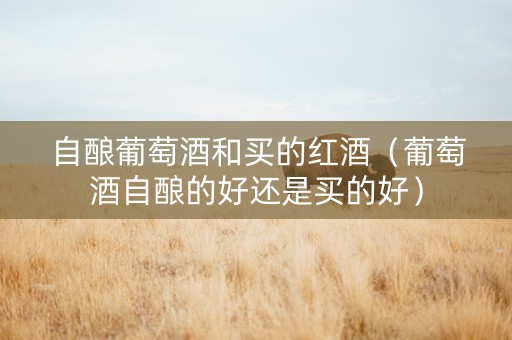 自酿葡萄酒和买的红酒（葡萄酒自酿的好还是买的好）