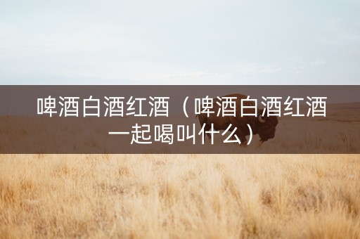 啤酒白酒红酒（啤酒白酒红酒一起喝叫什么）