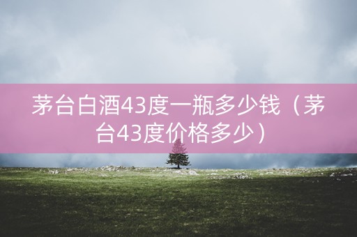 茅台白酒43度一瓶多少钱（茅台43度价格多少）