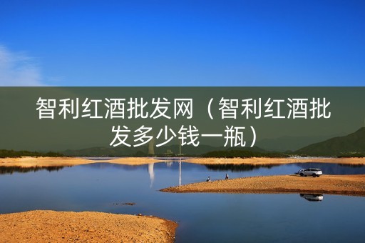 智利红酒批发网（智利红酒批发多少钱一瓶）