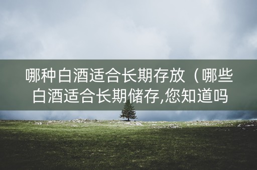 哪种白酒适合长期存放（哪些白酒适合长期储存,您知道吗?）