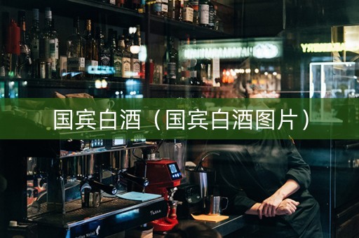 国宾白酒（国宾白酒图片）