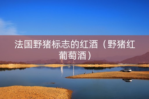 法国野猪标志的红酒（野猪红葡萄酒）