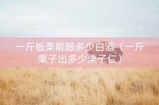 一斤板栗能酿多少白酒（一斤栗子出多少栗子仁）