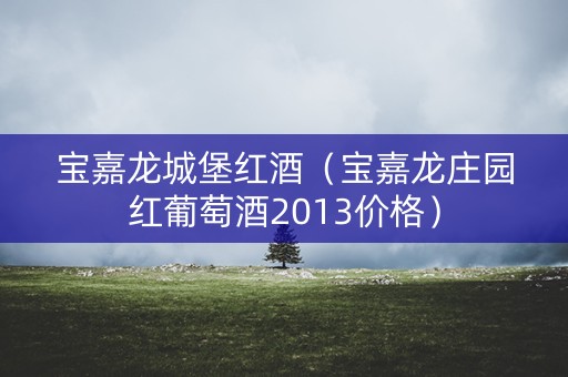 宝嘉龙城堡红酒（宝嘉龙庄园红葡萄酒2013价格）