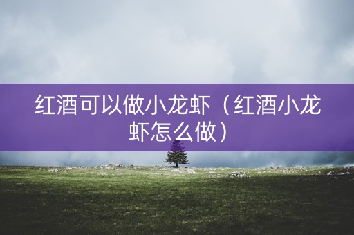 红酒可以做小龙虾（红酒小龙虾怎么做）