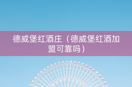 德威堡红酒庄（德威堡红酒加盟可靠吗）