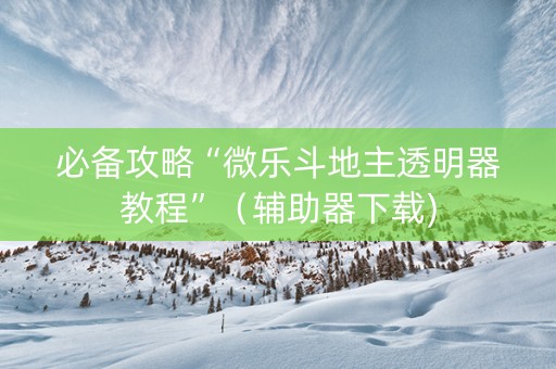 必备攻略“微乐斗地主透明器教程”（辅助器下载)