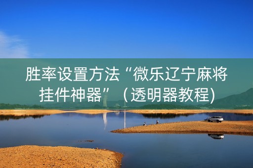 胜率设置方法“微乐辽宁麻将挂件神器”（透明器教程)