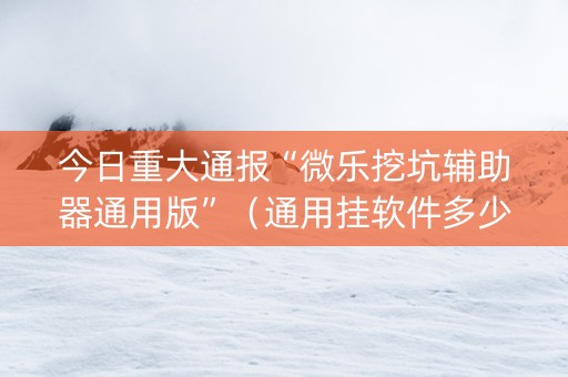 今日重大通报“微乐挖坑辅助器通用版”（通用挂软件多少钱)