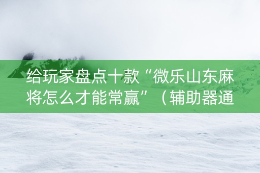 给玩家盘点十款“微乐山东麻将怎么才能常赢”（辅助器通用版)