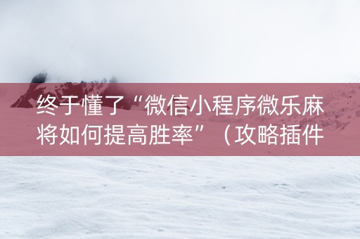 终于懂了“微信小程序微乐麻将如何提高胜率”（攻略插件)