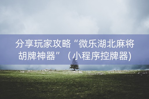 分享玩家攻略“微乐湖北麻将胡牌神器”（小程序控牌器)