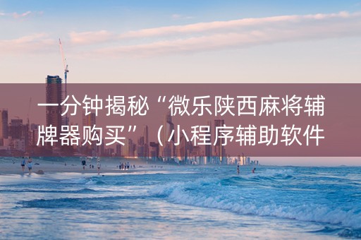 一分钟揭秘“微乐陕西麻将辅牌器购买”（小程序辅助软件)