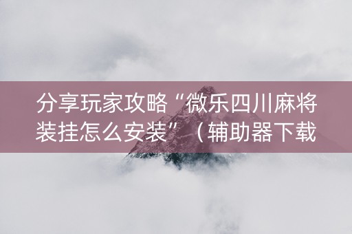 分享玩家攻略“微乐四川麻将装挂怎么安装”（辅助器下载)