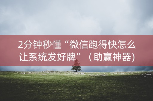 2分钟秒懂“微信跑得快怎么让系统发好牌”（助赢神器)