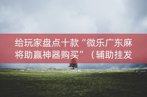 给玩家盘点十款“微乐广东麻将助赢神器购买”（辅助挂发牌规律)
