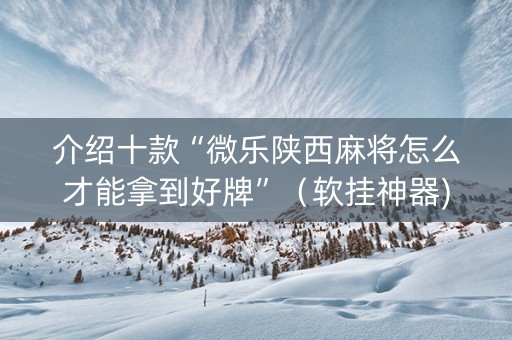 介绍十款“微乐陕西麻将怎么才能拿到好牌”（软挂神器)