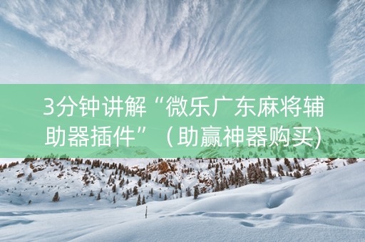 3分钟讲解“微乐广东麻将辅助器插件”（助赢神器购买)