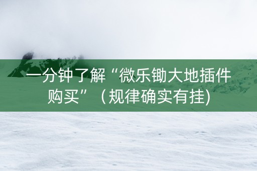 一分钟了解“微乐锄大地插件购买”（规律确实有挂)