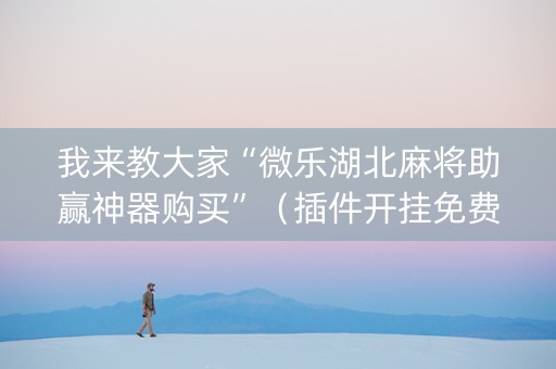 我来教大家“微乐湖北麻将助赢神器购买”（插件开挂免费AI)