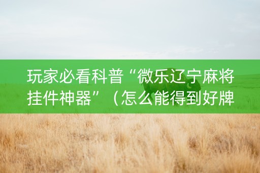 玩家必看科普“微乐辽宁麻将挂件神器”（怎么能得到好牌)