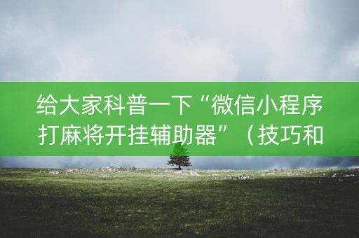 给大家科普一下“微信小程序打麻将开挂辅助器”（技巧和打好牌方法)