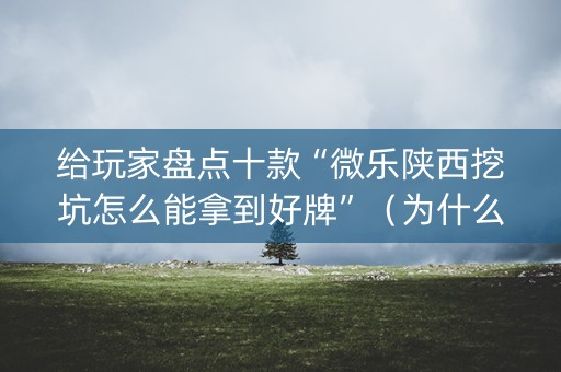 给玩家盘点十款“微乐陕西挖坑怎么能拿到好牌”（为什么有人一直赢)