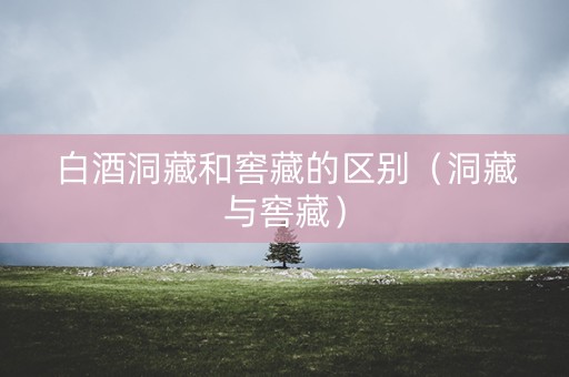 白酒洞藏和窖藏的区别（洞藏与窖藏）