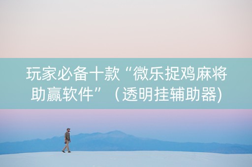 玩家必备十款“微乐捉鸡麻将助赢软件”（透明挂辅助器)