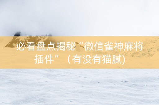 必看盘点揭秘“微信雀神麻将插件”（有没有猫腻)