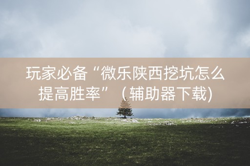 玩家必备“微乐陕西挖坑怎么提高胜率”（辅助器下载)