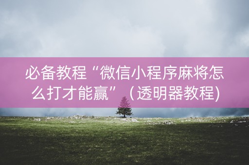 必备教程“微信小程序麻将怎么打才能赢”（透明器教程)