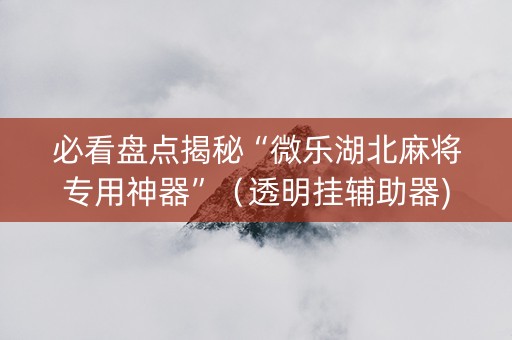 必看盘点揭秘“微乐湖北麻将专用神器”（透明挂辅助器)