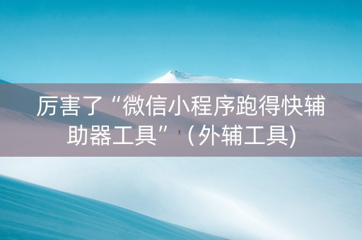 厉害了“微信小程序跑得快辅助器工具”（外辅工具)