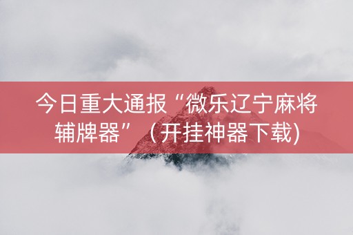 今日重大通报“微乐辽宁麻将辅牌器”（开挂神器下载)