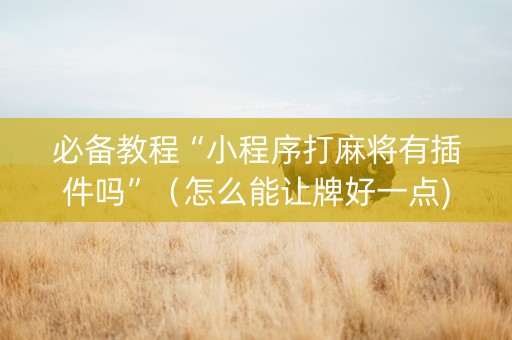 必备教程“小程序打麻将有插件吗”（怎么能让牌好一点)
