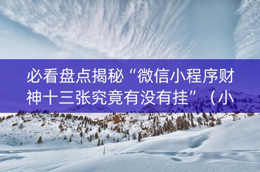 必看盘点揭秘“微信小程序财神十三张究竟有没有挂”（小程序怎么才会赢)