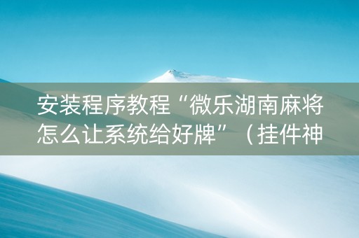 安装程序教程“微乐湖南麻将怎么让系统给好牌”（挂件神器)