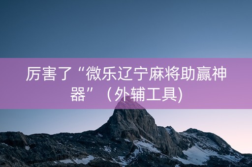 厉害了“微乐辽宁麻将助赢神器”（外辅工具)