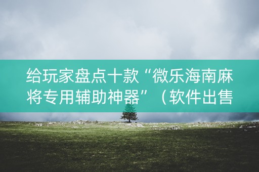 给玩家盘点十款“微乐海南麻将专用辅助神器”（软件出售)