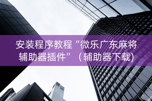 安装程序教程“微乐广东麻将辅助器插件”（辅助器下载)