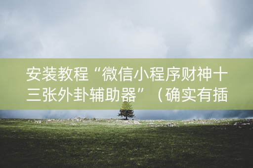 安装教程“微信小程序财神十三张外卦辅助器”（确实有插件吗)