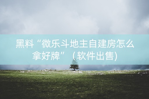 黑料“微乐斗地主自建房怎么拿好牌”（软件出售)