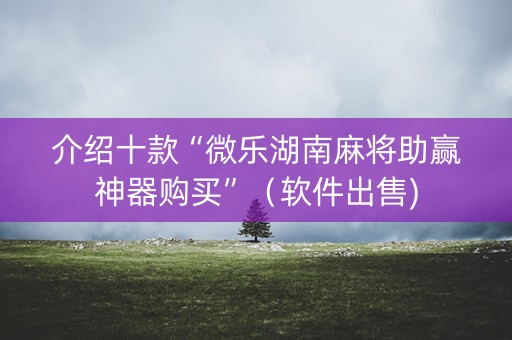介绍十款“微乐湖南麻将助赢神器购买”（软件出售)