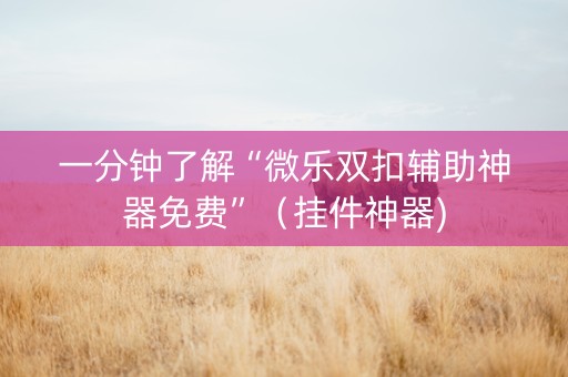 一分钟了解“微乐双扣辅助神器免费”（挂件神器)
