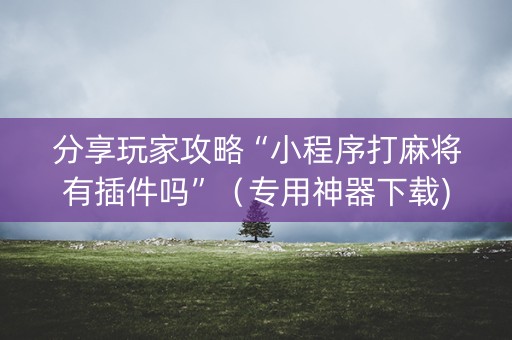 分享玩家攻略“小程序打麻将有插件吗”（专用神器下载)