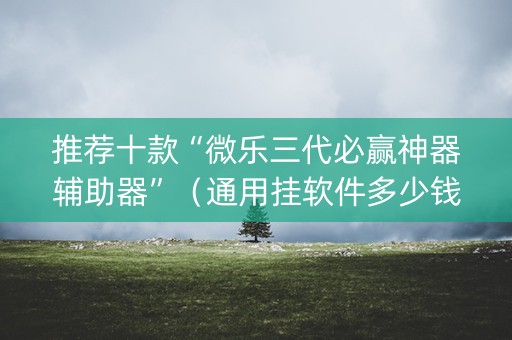 推荐十款“微乐三代必赢神器辅助器”（通用挂软件多少钱)